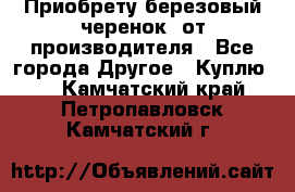 Приобрету березовый черенок  от производителя - Все города Другое » Куплю   . Камчатский край,Петропавловск-Камчатский г.